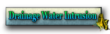 orlando Drianage Water Intrusion