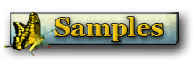 Contractor Services Sample Link
